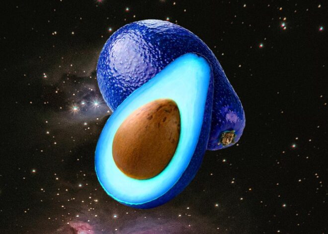 Why is it called Blue Avocado?