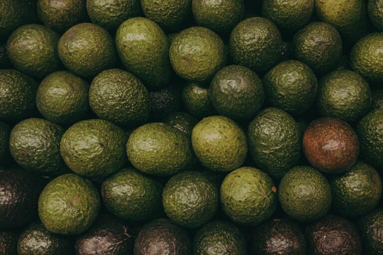 About fifty avocados