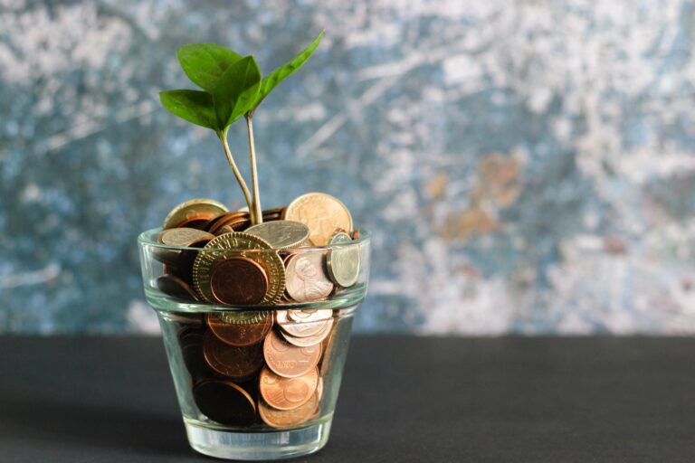 plant growing out of a cup full of coins