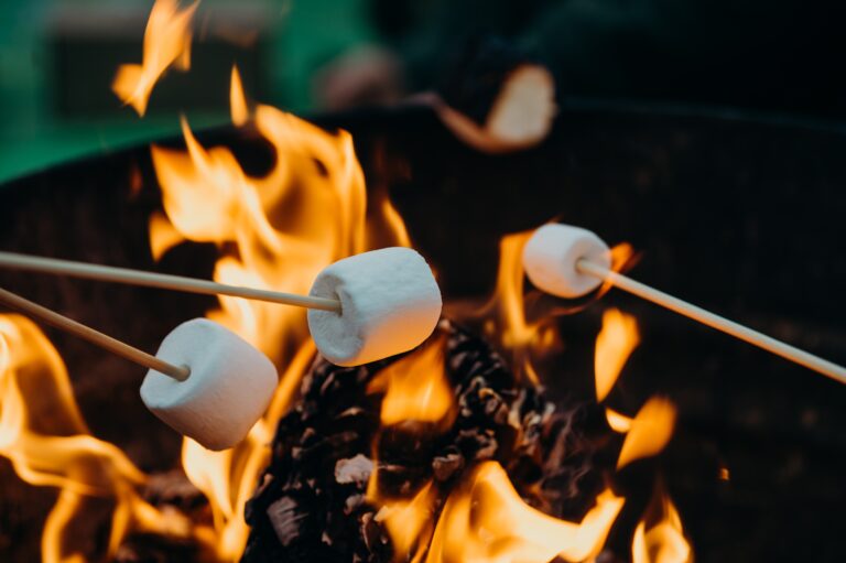 marshmallows on sticks being roasted over a fire