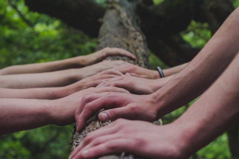 multiple hands on tree trunk