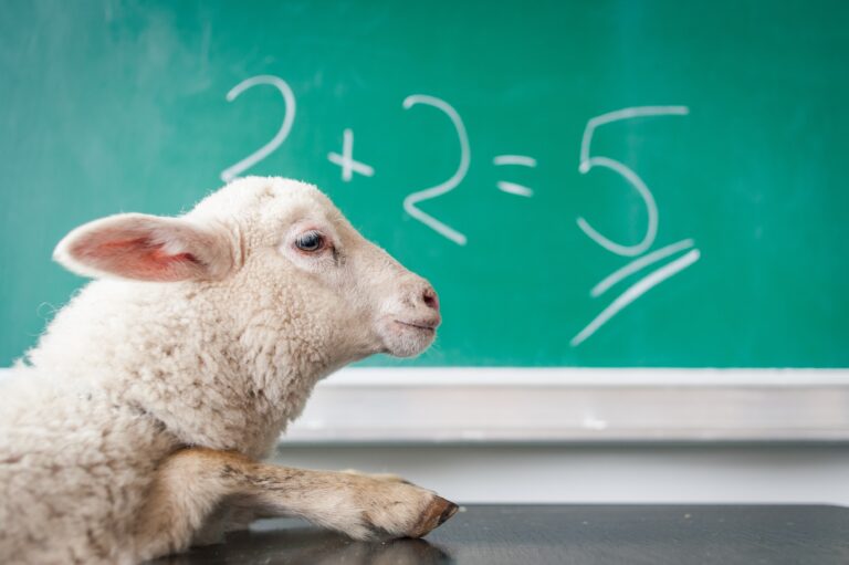 a lamb sitting in a classroom in front of a chalkboard