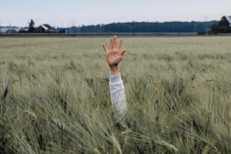 An arm raised out of a field of weeds