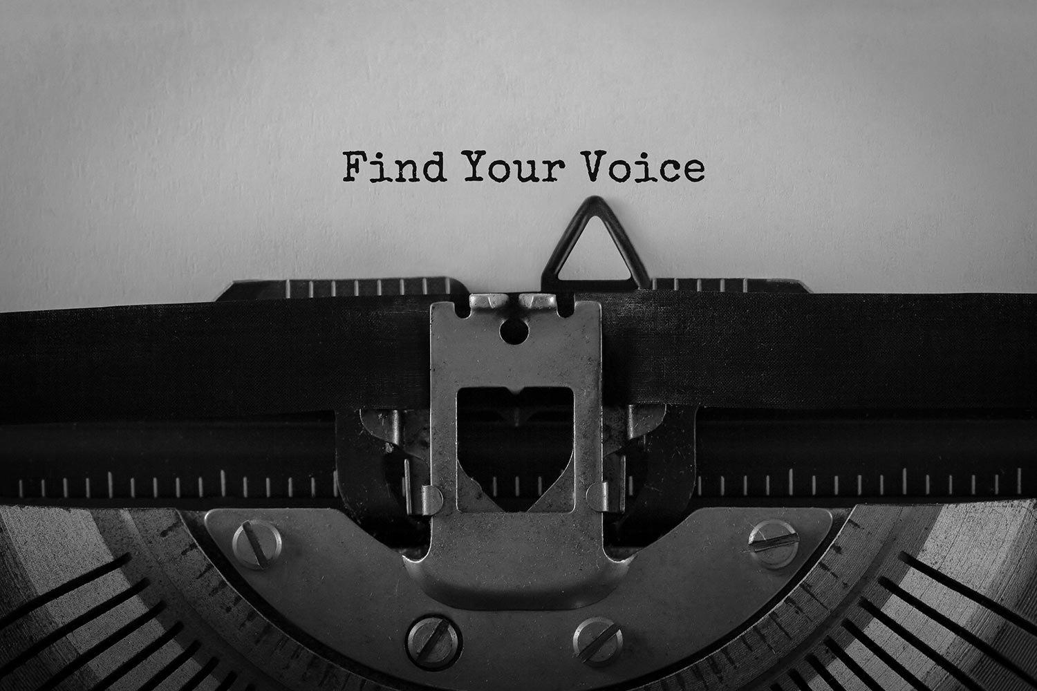 Finding Your Voice As a Nonprofit