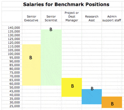 Salary Ranges with Benchmarks