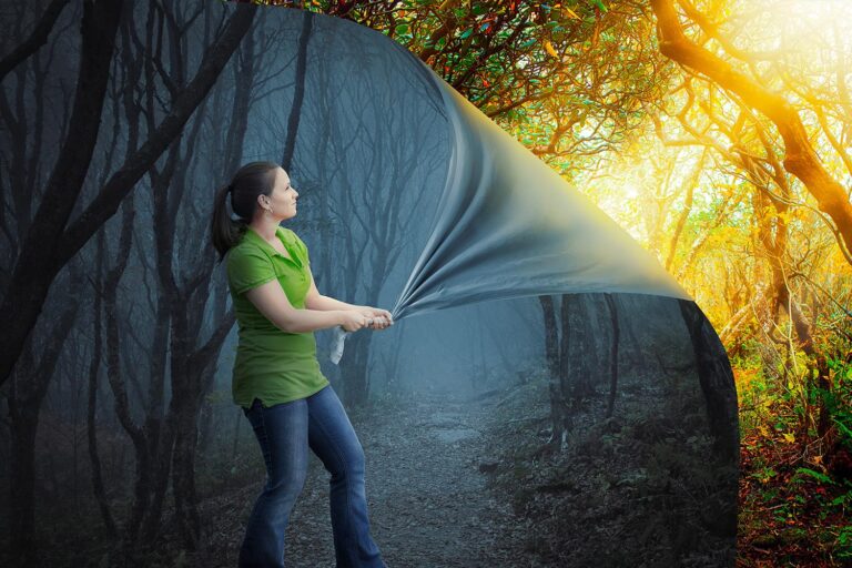 Woman pulls away a dark backdrop to reveal a sunny forest