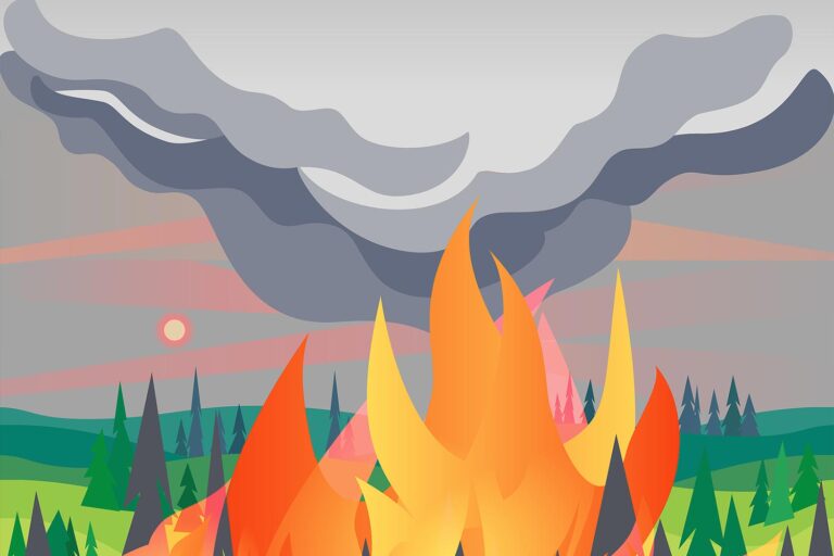 illustration of a wildfire in nature