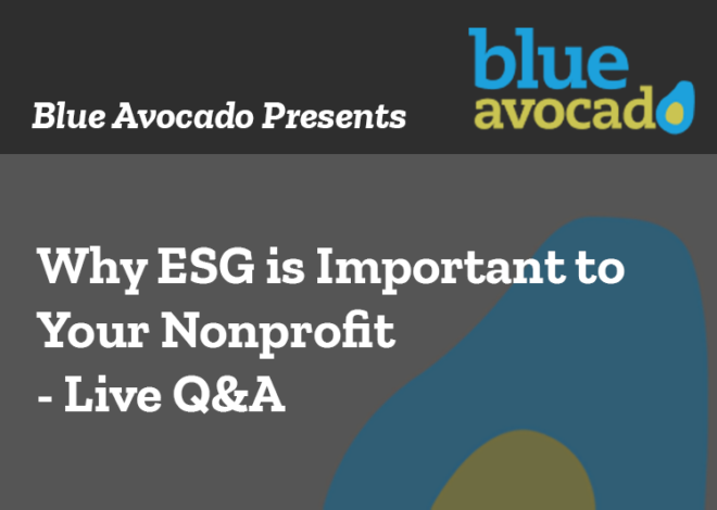 Blue Avocado Presents: Why ESG is Important to Your Nonprofit – Live Q&A