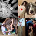 A collage of photos