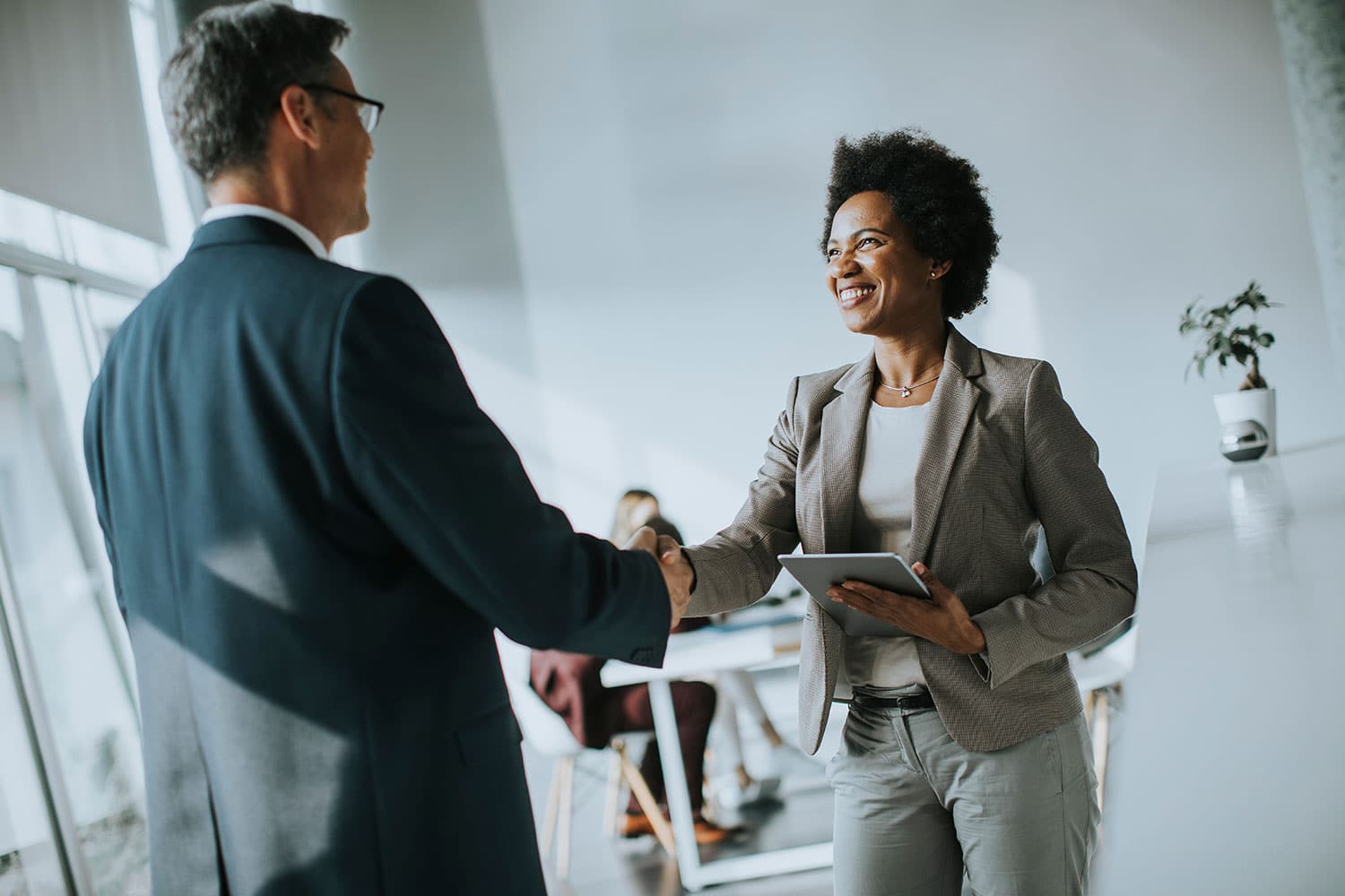 two business people shaking hands