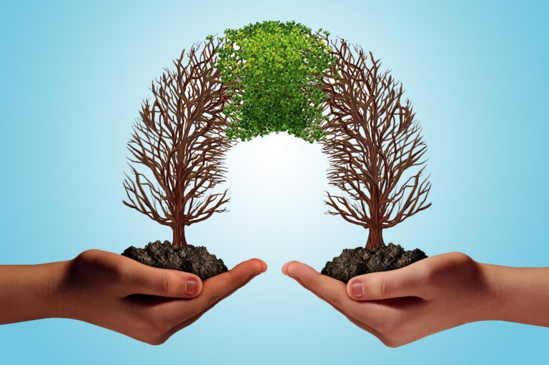 two hands holding trees that are growing together