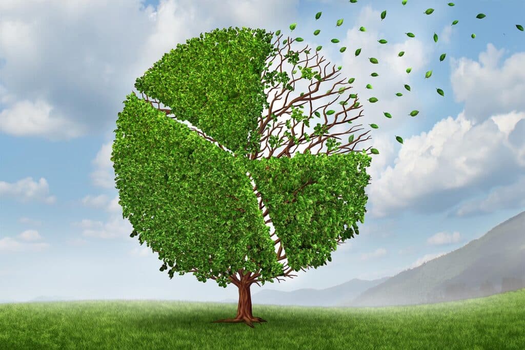 a tree in pie sections with leaves blowing away from one slice